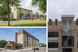 De Rode Kroon – Van Overruimte naar Oplossingsruimte